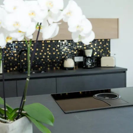 Schöner Wohnen Apartment Friesenheim (Baden-Wurttemberg)